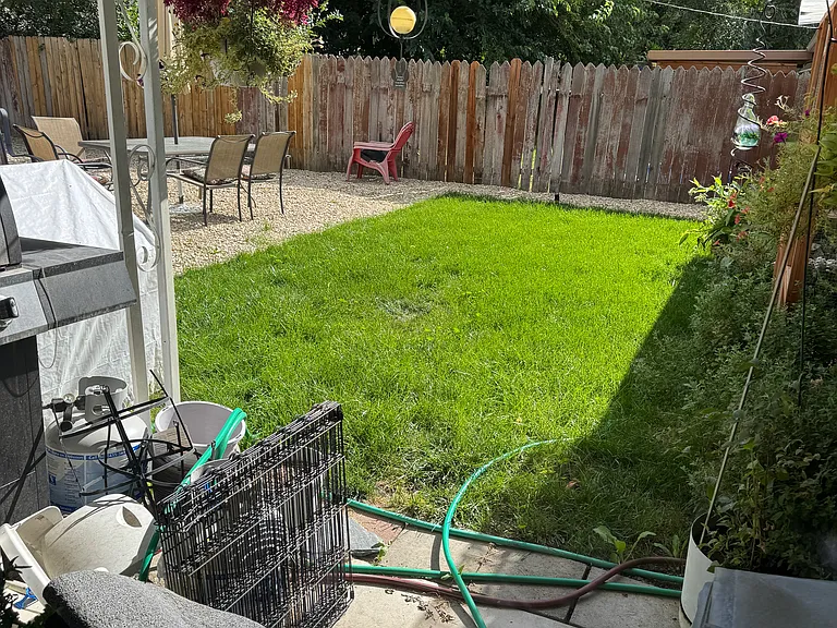3672 N Collister Dr — Photo 6