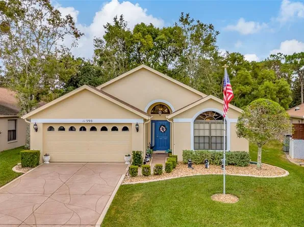11390 Deercroft Ct, Spring Hill, FL 34609