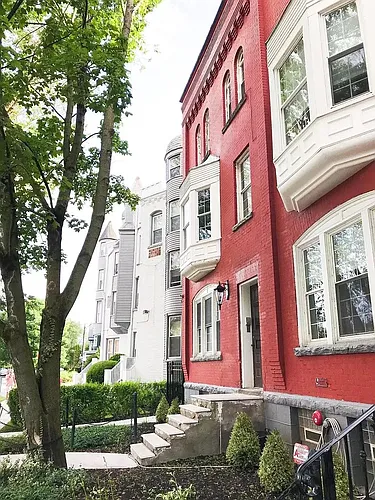 244 Richmond Ave #1 Photo 1
