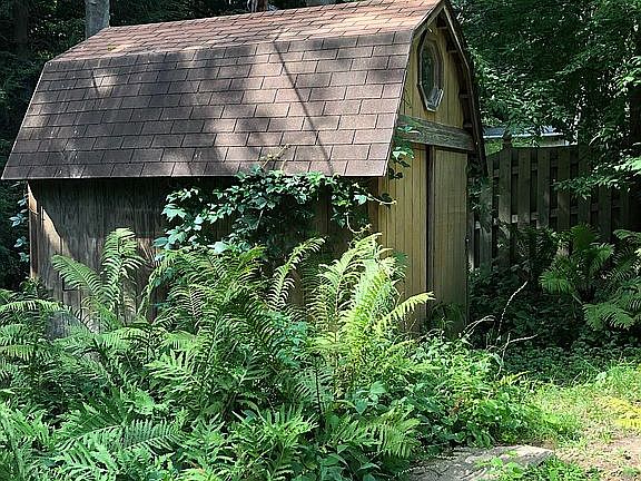 Shed in back yard