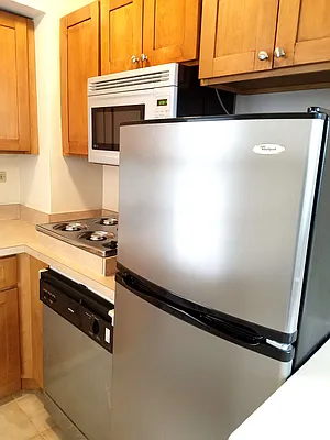 Rented by Manhattan Apartment Organization | media 25