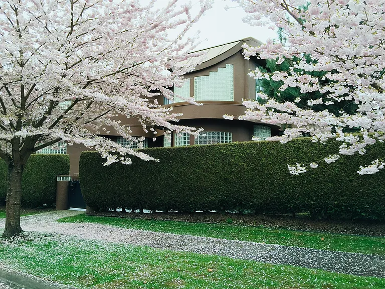 5883 Wallace St — Photo 13