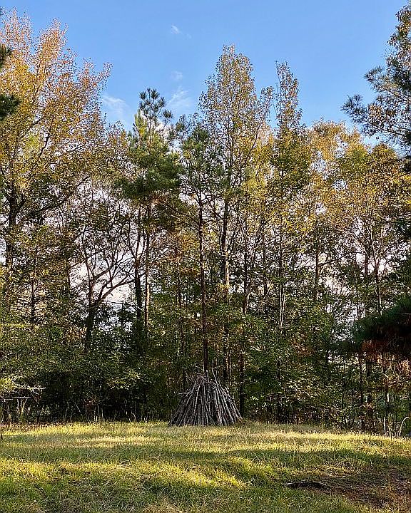 2nd image of 208 Waldrop Rd