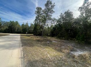0 Warrior Creek Rd, Perry, FL 32348