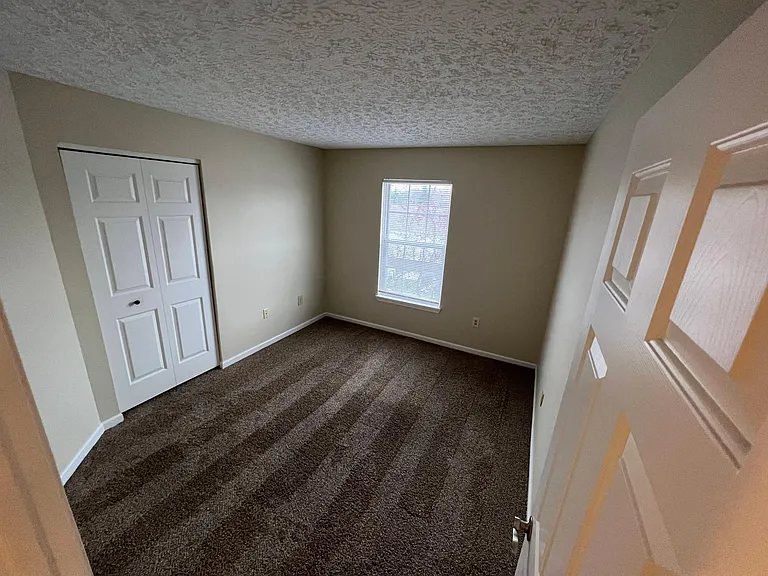 5642 Cypress Chase — Photo 11
