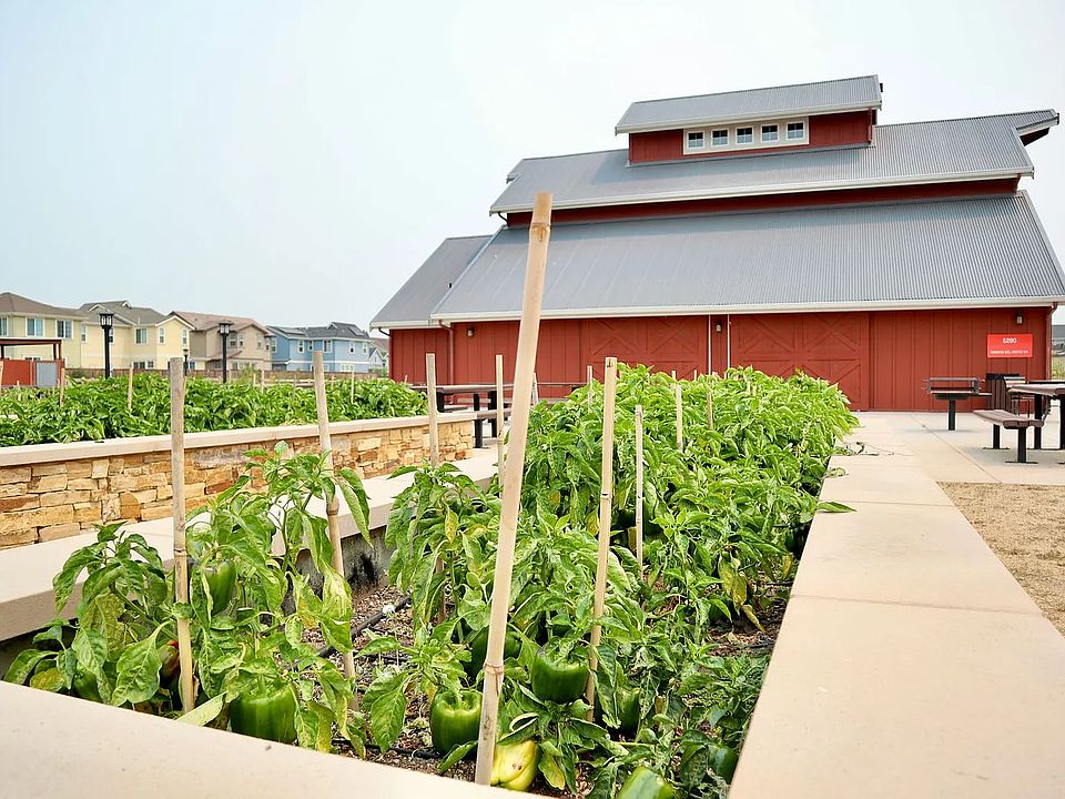 Community barn and farm with fresh vegetables every week for free.