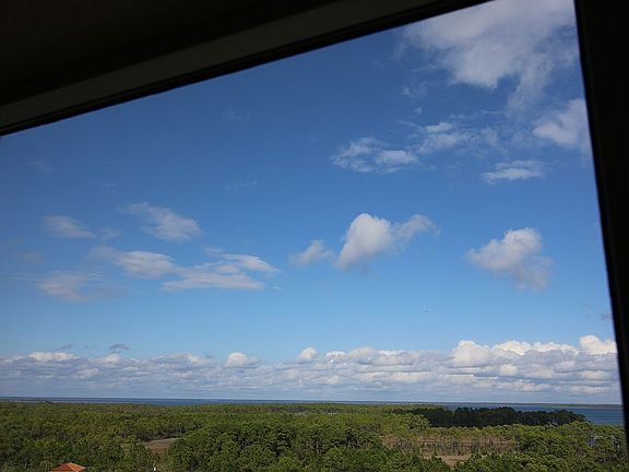 View From Great Room