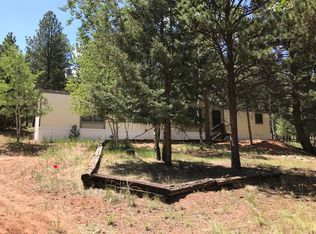 1043 Old Wagon Trl, Woodland Park, CO 80863