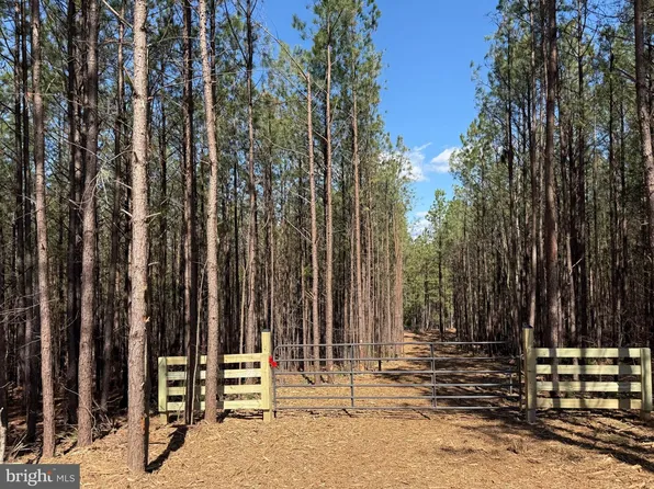 LOT Mountain Cut Rd #C, Appomattox, VA 24522