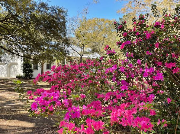 6294 Highway 165, Ravenel, SC 29470