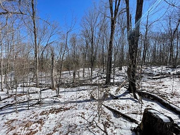 5th image of Lots 54 & 55 Wolf Island Road