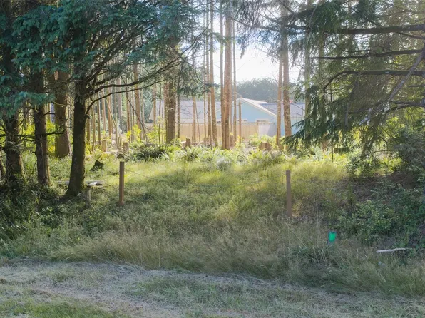 119 Olympic View Avenue NE, Ocean Shores, WA 98569