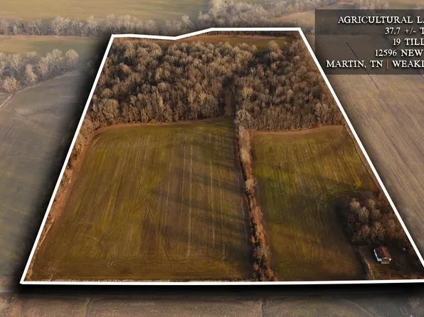 12596 New Home Rd, Martin, TN 38237
