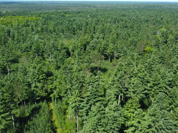 0 Duck Lake Rd, Park Falls, WI 54552