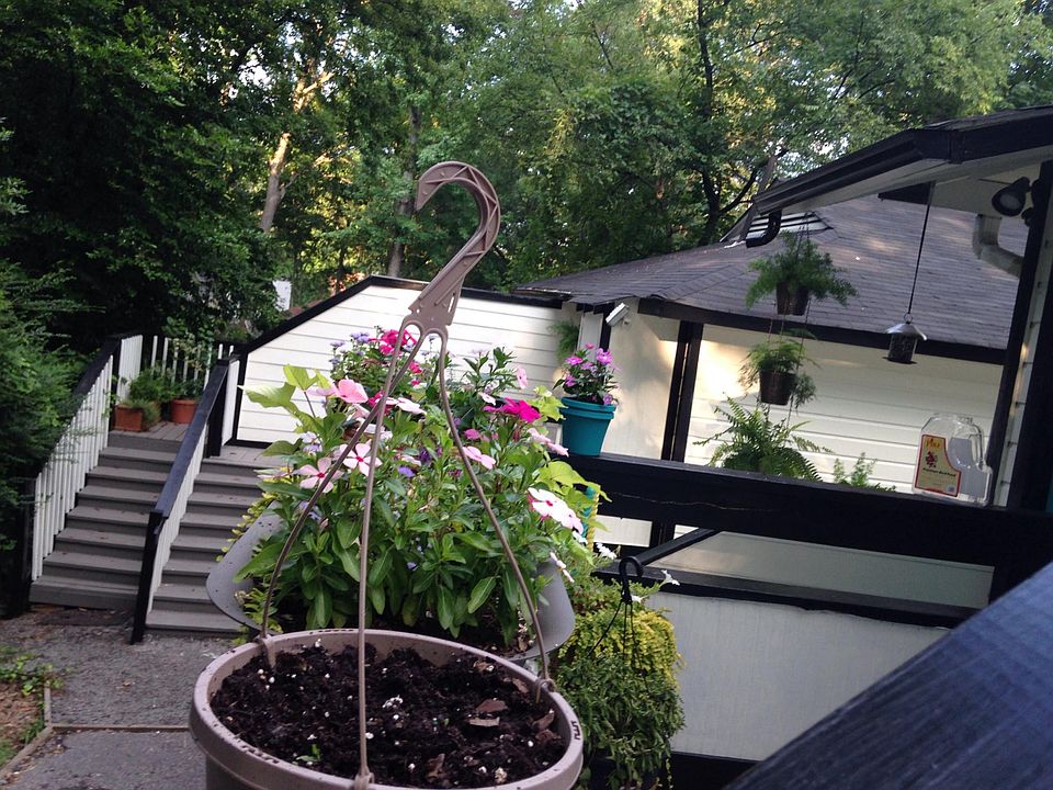 Patios looking out onto treed backyard