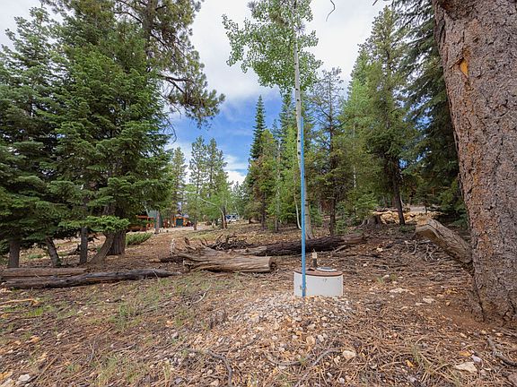 4th image of 710 E Whispering Pines Dr