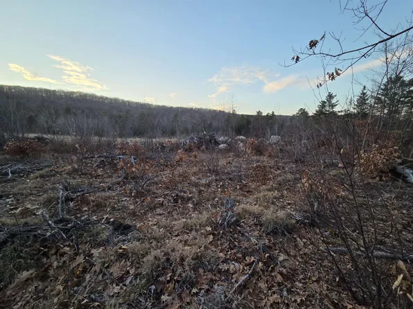 672-5 Bog Road Lot 5, Enfield, NH 03748