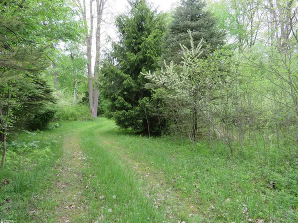 3851 Daley Rd, Attica, MI 48412