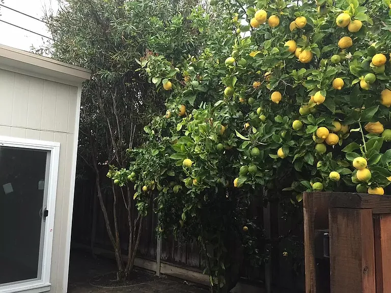 757 Seminole Way — Photo 13