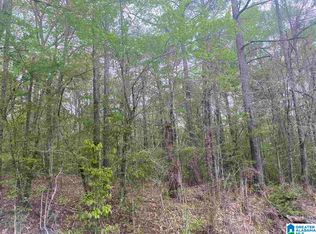 310 Fredric Ferry Rd #1, Daviston, AL 36256