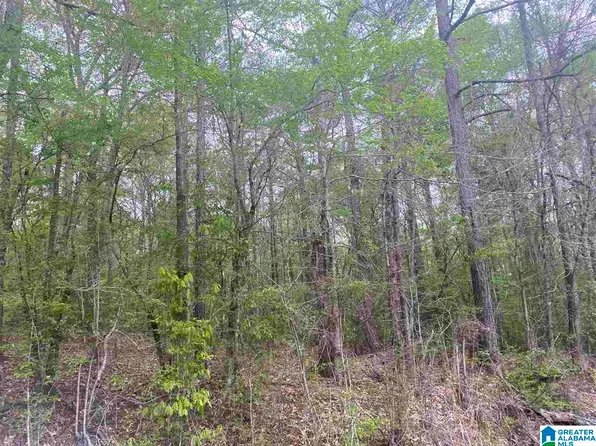 310 Fredric Ferry Rd #1, Daviston, AL 36256