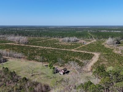0 Ingram Rd, Odum, GA, 31555