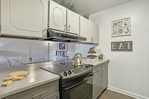 The Magnolia Apartment Homes Photo 1