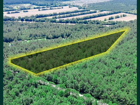 0 Pelham Rd Lot 6, Willard, NC 28478