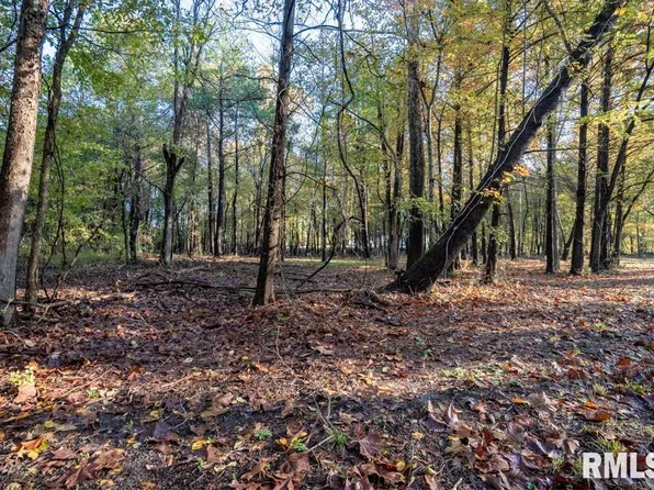 0 Baptist Camp Rd, Carterville, IL 62918