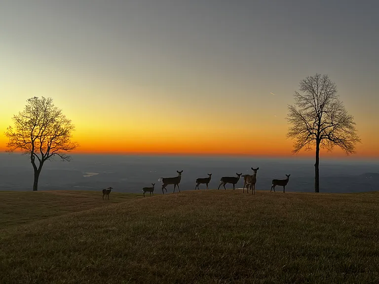 White Oak Mountain Rd — Photo 48