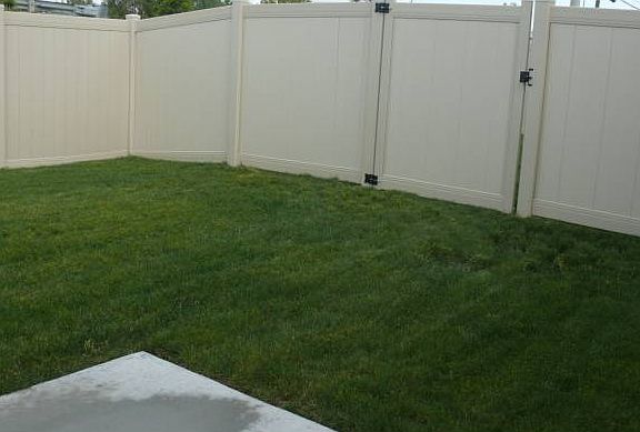 Back yard