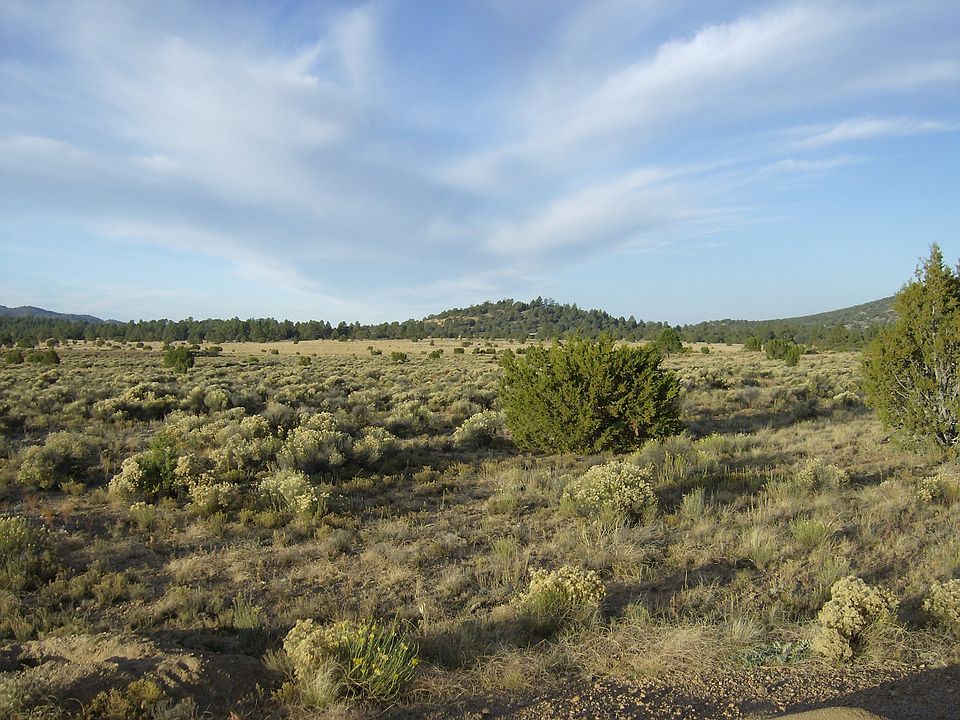 2nd image of 4909 N Red Mountain Rd