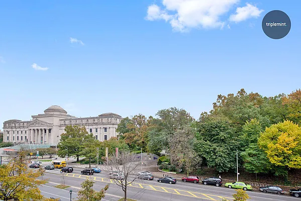 Sold by Triplemint | media 19