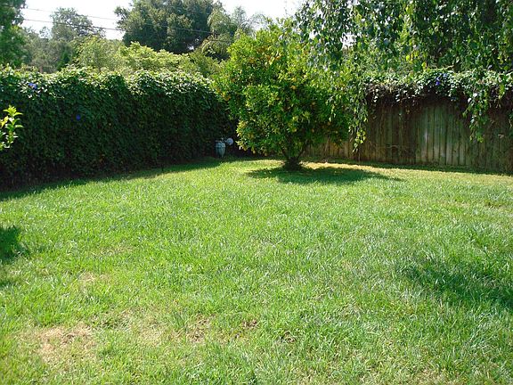 ont yard hedged, fenced, and gated.