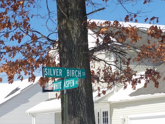 4th image of 3251 Silver Birch St