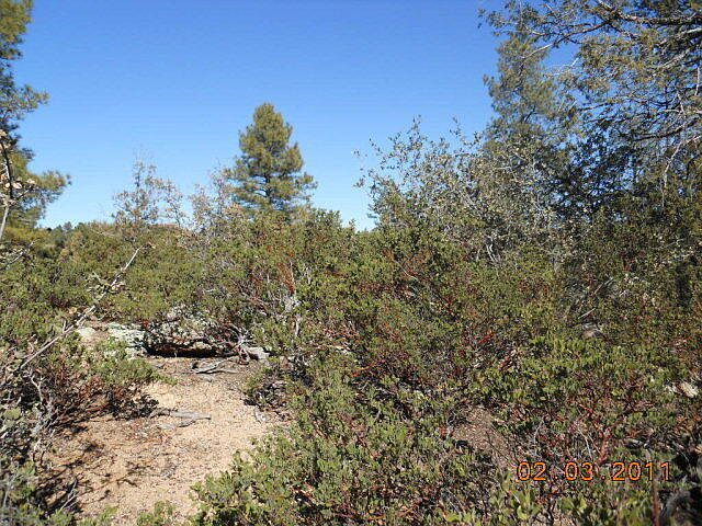 2nd image of 619 N Grapevine Dr