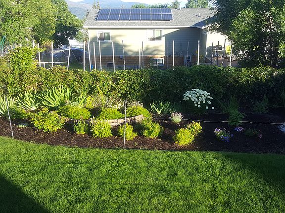 Back Flower Garden
