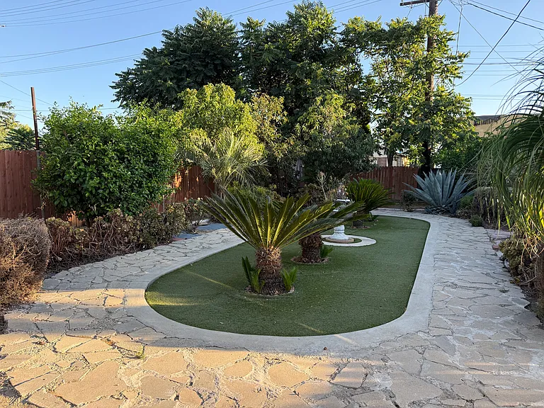 back yard