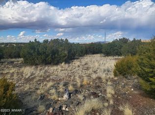 County Road 5166, Concho, AZ 85924