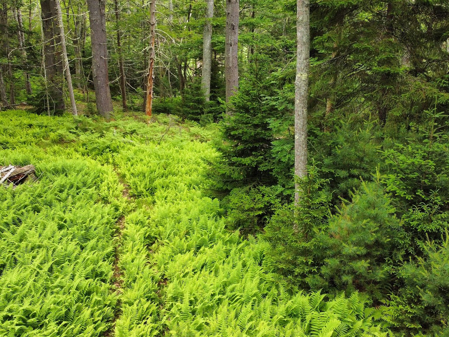 LOT 71 Wrong Way Drive, Phippsburg, ME 04562 MLS 1567338 Zillow