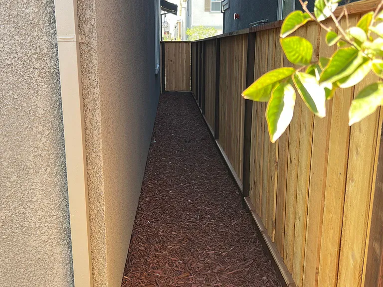 Side yard