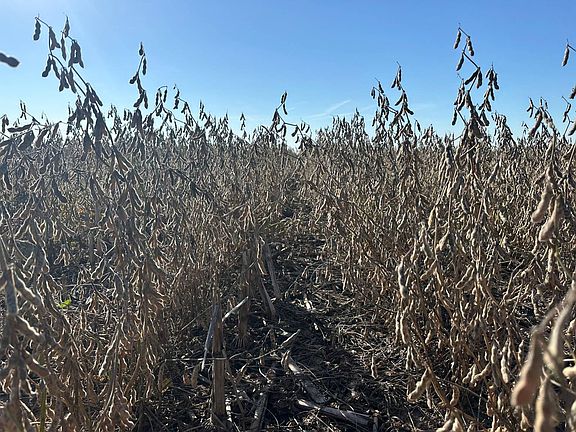 2nd image of 0 W Cimarron Rd