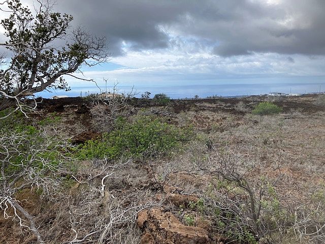 1st image of Hibiscus Dr Lot 4