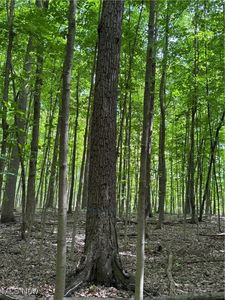 V/l Leroy Center Rd, Painesville, OH, 44077