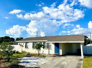 4109 W Wallace Ave, Tampa, FL 33611