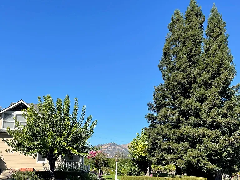 8450 Sonoma Hwy — Photo 15