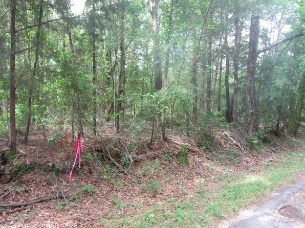 0 Columbia Road 60, Waldo, AR 71770