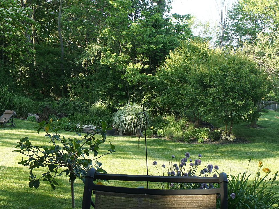 Panoramic view back yard