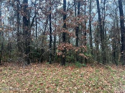 1 Stewartsville Cemetery Rd, Laurinburg, NC, 28352