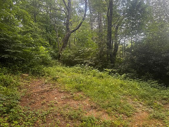 3rd image of Gingercake Rd